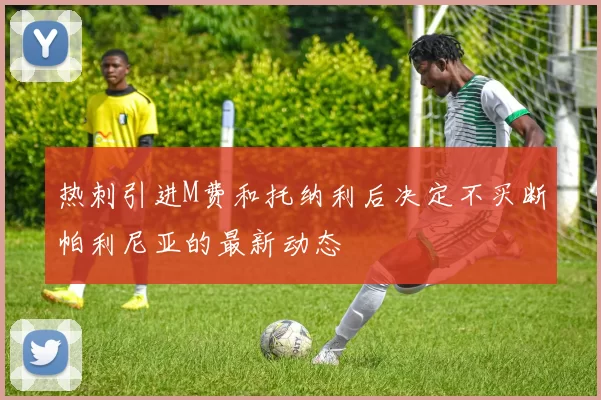 热刺引进M费和托纳利后决定不买断帕利尼亚的最新动态