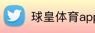 球皇体育app官网入口 Logo